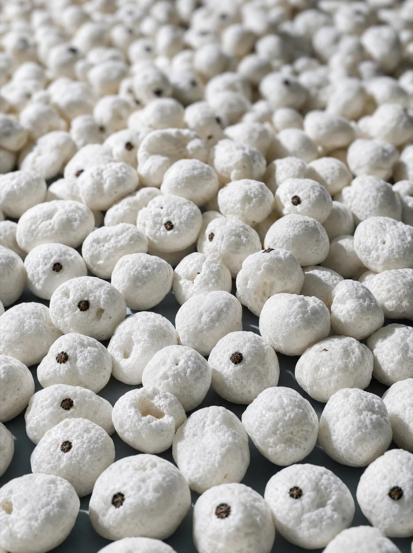 A close view of puffed white fox nuts, each with the dark speck where its shell split